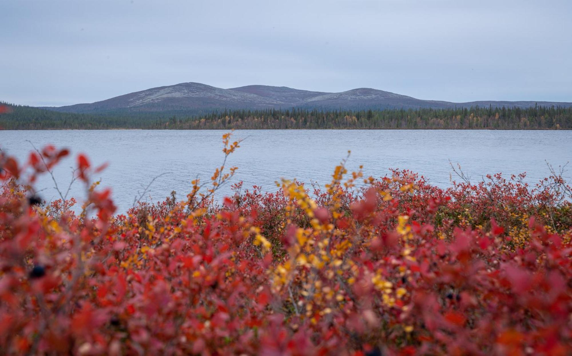 Fell Centre Kiilopaeae, Hotelli Niilanpaeae Saariselkä Eksteriør billede