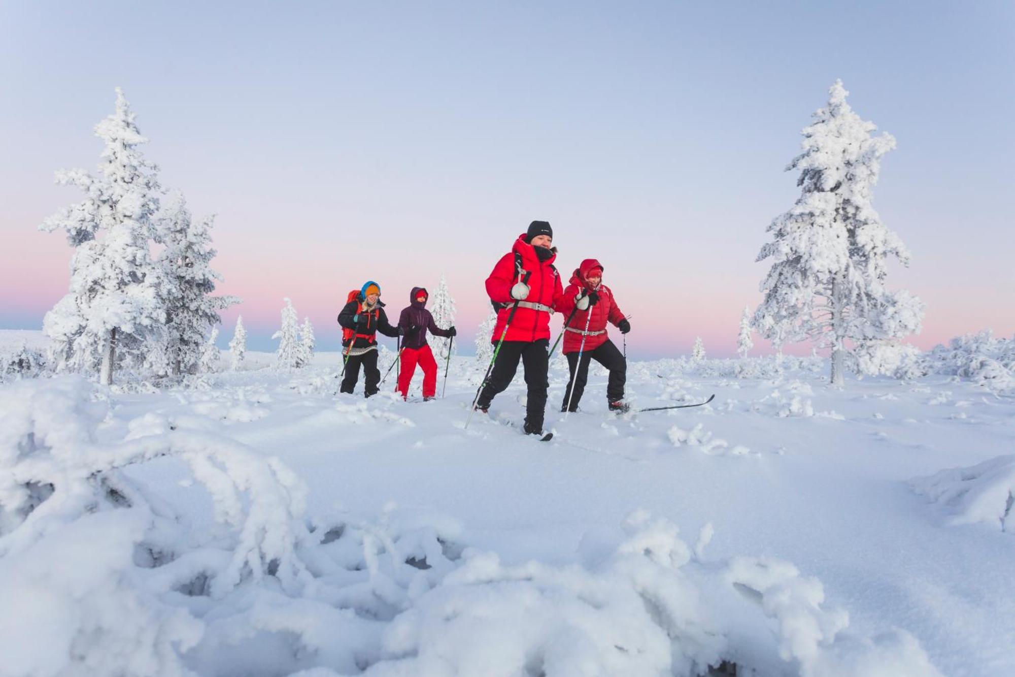 Fell Centre Kiilopaeae, Hotelli Niilanpaeae Saariselkä Eksteriør billede