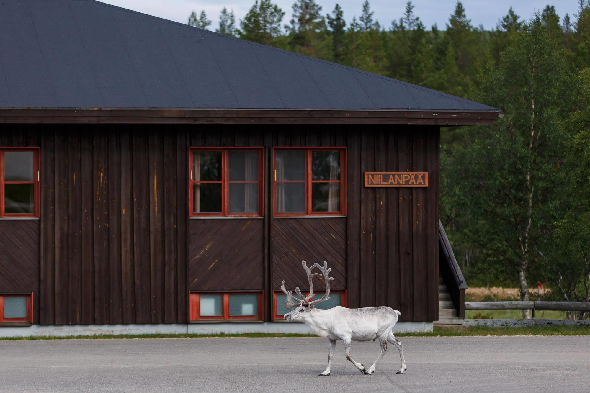 Fell Centre Kiilopaeae, Hotelli Niilanpaeae Saariselkä Eksteriør billede